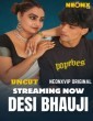Desi Bhauji (2025) NeonX Hindi Hot Short Film